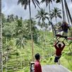 Bali swingen